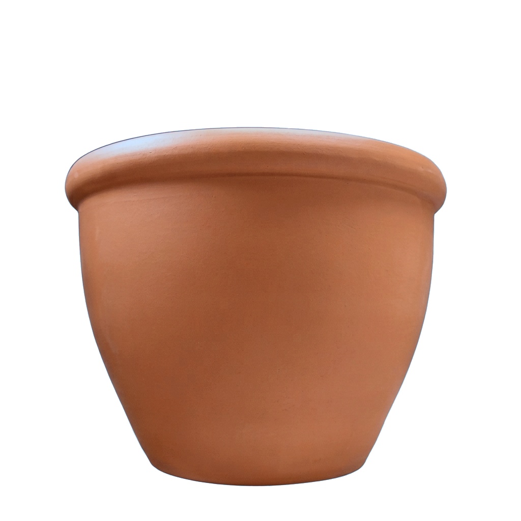 Vaso Íris