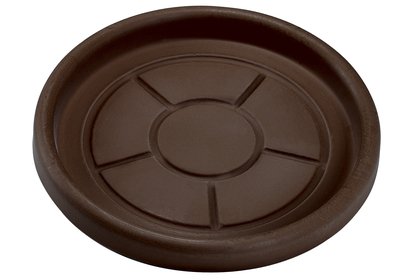Prato — Bronze
