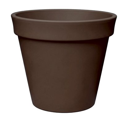 Vaso Standard — Bronze