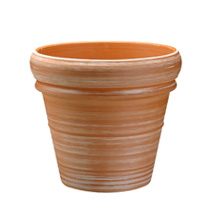Vaso Duplo Bordo Rústico