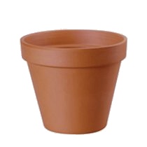 Vaso Standard