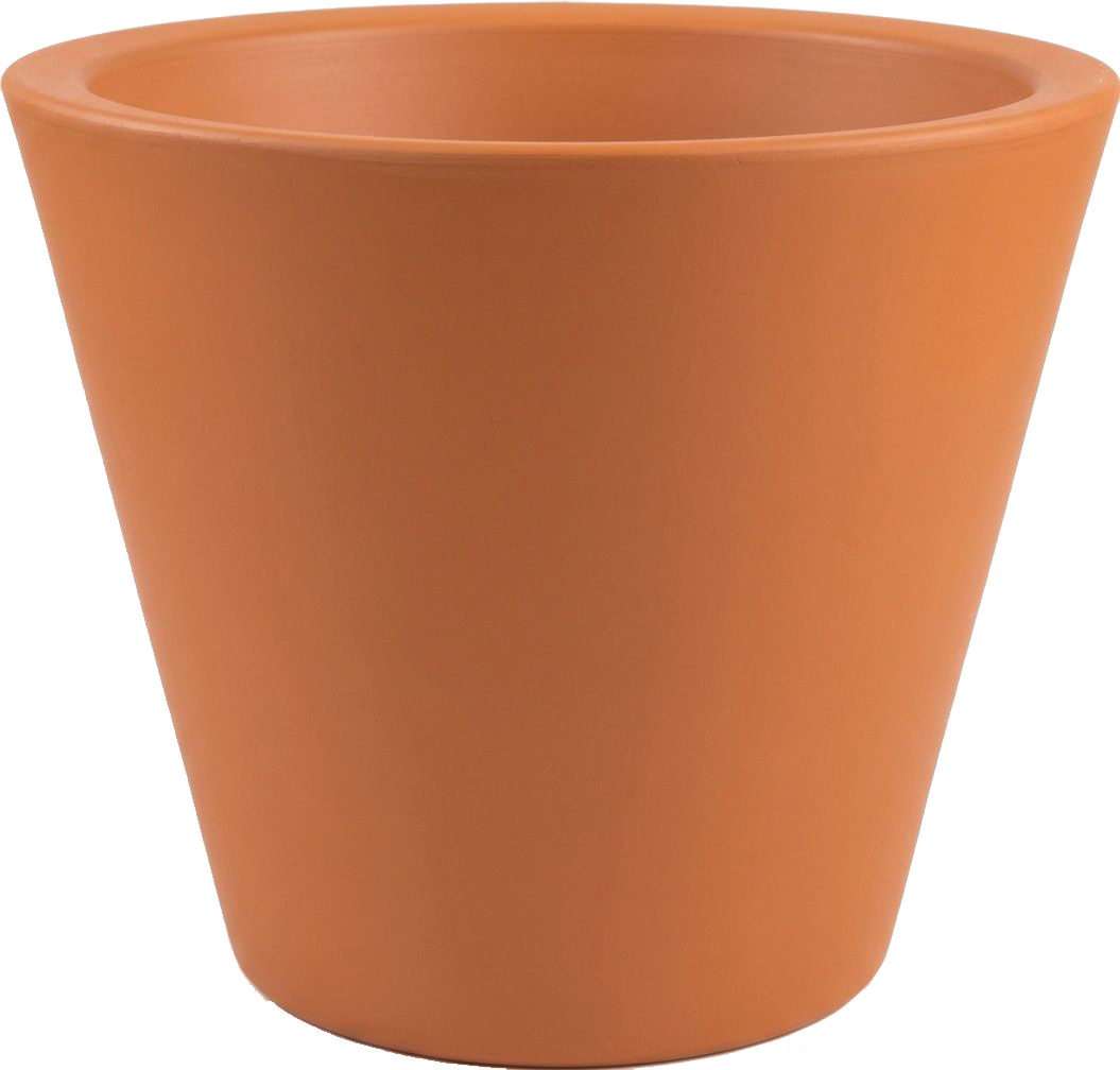 Vaso Margarida